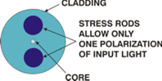 Cross-section of Polarization Maintaining Fiber